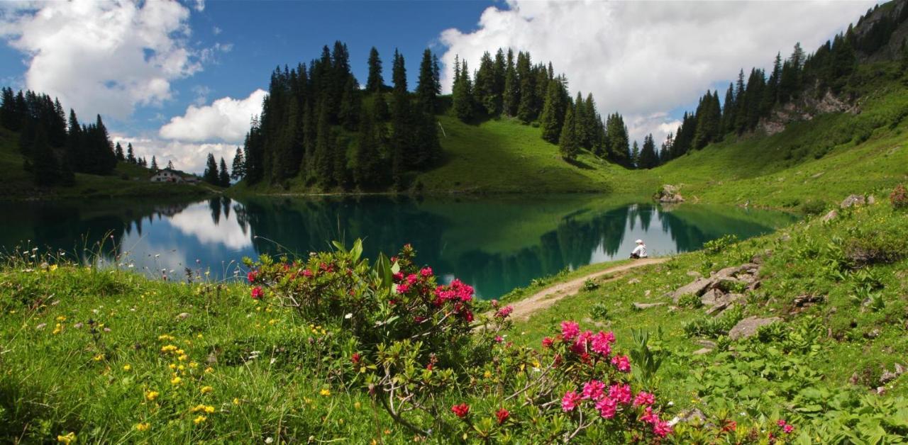 Winterfell Villa Leysin Bagian luar foto