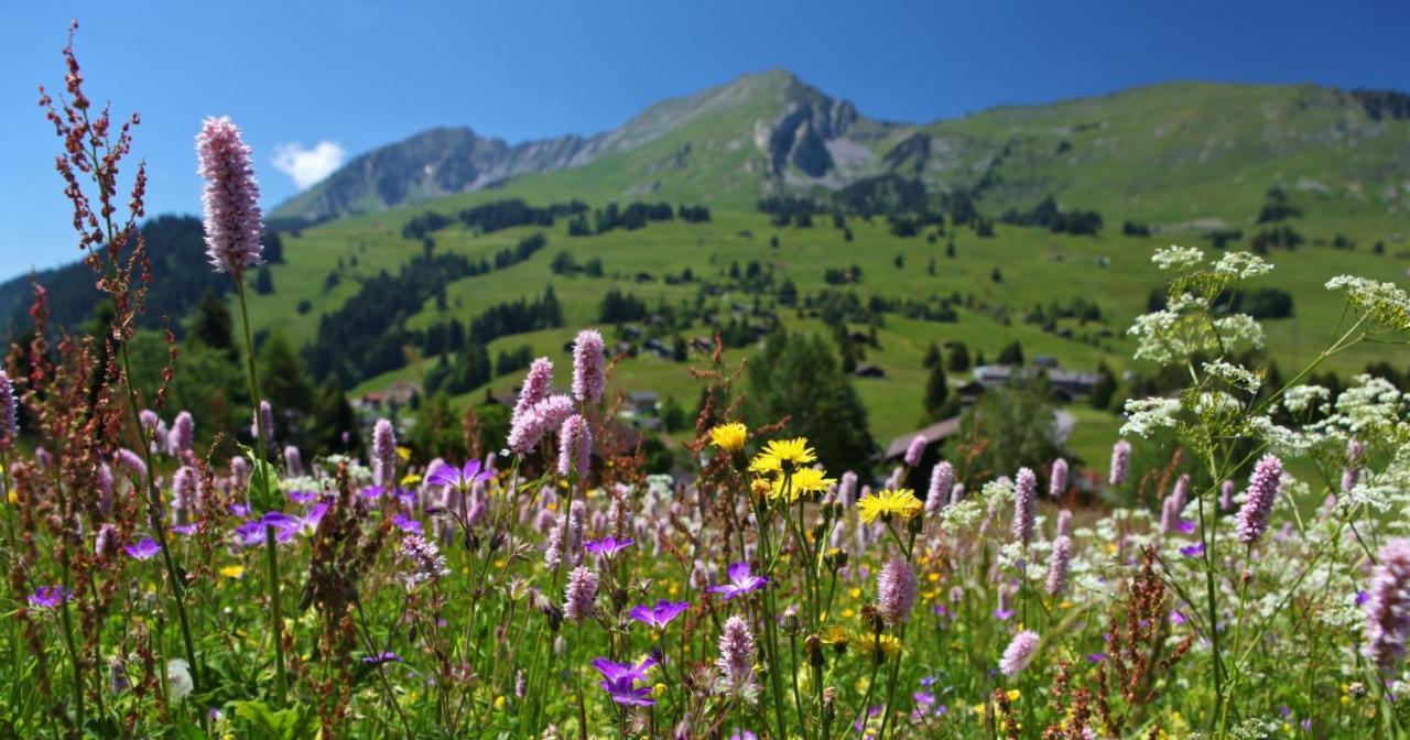 Winterfell Villa Leysin Bagian luar foto